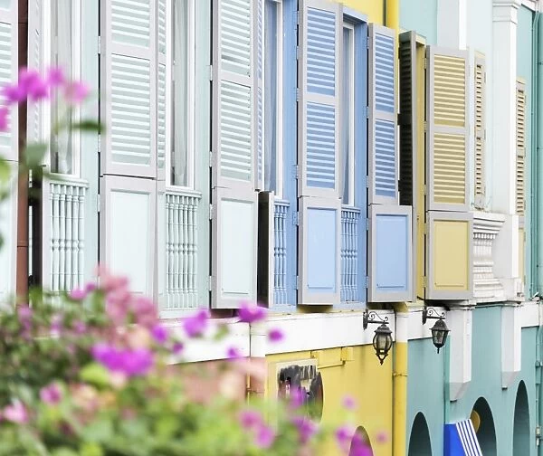Colourful wooden window shutters in the Boat Quay area of Singapore, Southeast Asia, Asia
