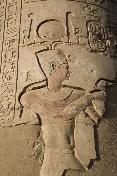 Detail of a column in the temple of Kom Ombo, Egypt, North Africa, Africa