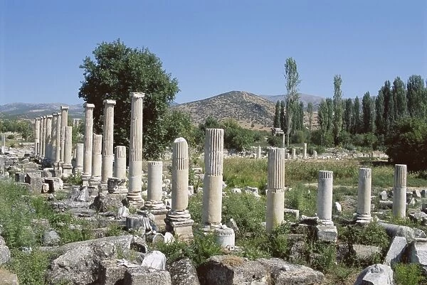 Columns, archaeological site