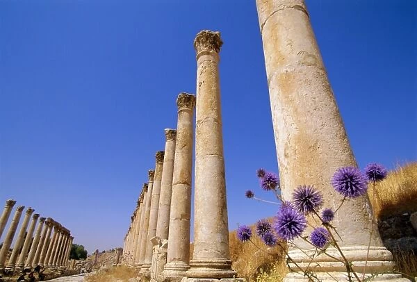 Columns of the Cardo