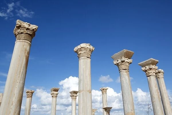The columns of the central basilica, Apollonia, Libya, North Africa, Africa