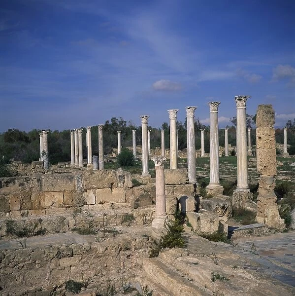 Columns of Hellenistic gymnasium rebuilt by the Romans, and Palaestra exercise ground