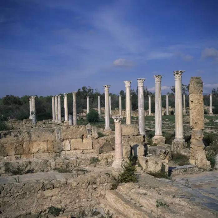 Framed Print : Columns of Hellenistic gymnasium rebuilt by the Romans, and Palaestra exercise ground Framed Print : Columns of Hellenistic gymnasium rebuilt by the Romans, and Palaestra exercise ground