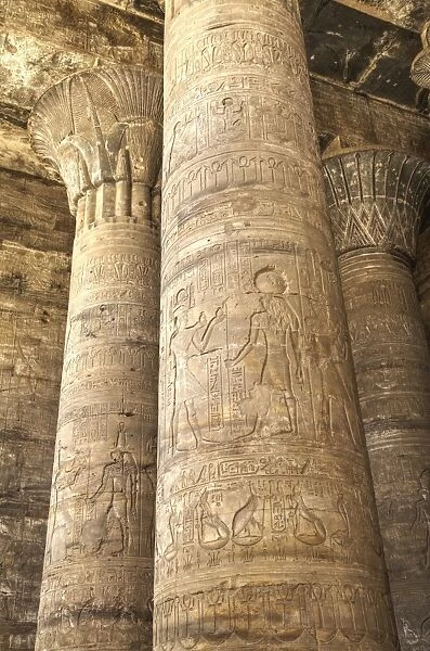 Columns in the Hypostyle Hall, Temple of Horus, Edfu, Egypt, North Africa, Africa