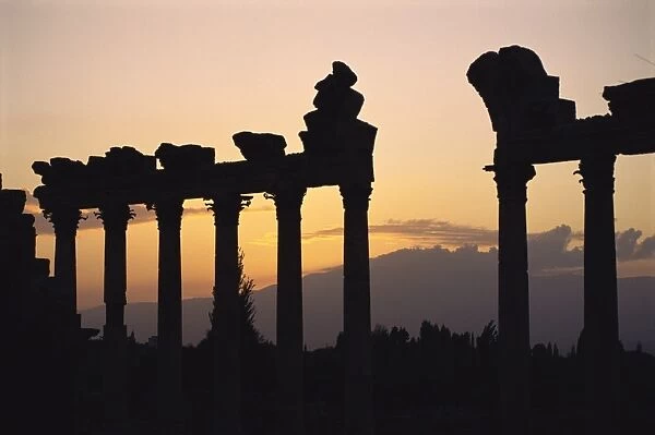 Columns in public building, probably the Court of Justice, Baalbek, UNESCO World Heritage Site