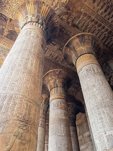 Columns in the Temple of Hathor, which began construction in 54 BCE, part of the Dendera Temple complex, Dendera, Egypt, North Africa, Africa