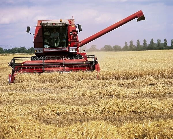 Combine harvester in field, Nottinghamshire, England, United Kingdom, Europe