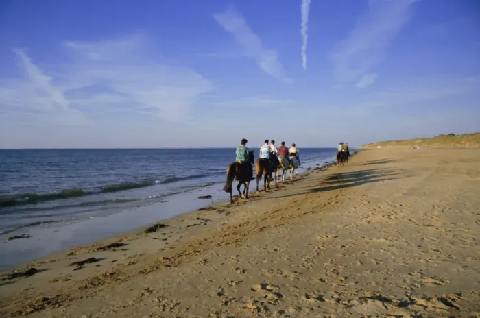 Framed Print : Conche des Baleines, horseriders on beach, Saint Clement village, Ile de Re