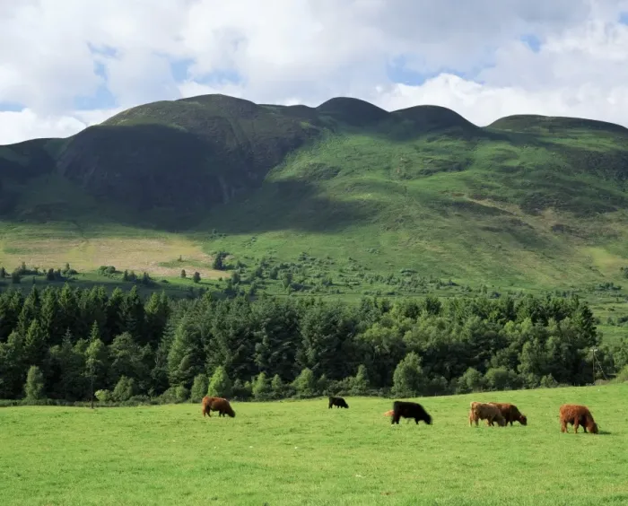 Framed Print : Conic Hill Framed Print : Conic Hill