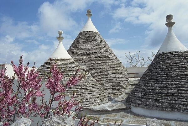 Conical rooftops of trulli near Martina Franca in Puglia
