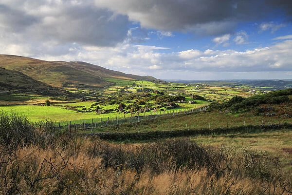 Cooley Mountains, County Louth, Leinster, Republic of Ireland, Europe