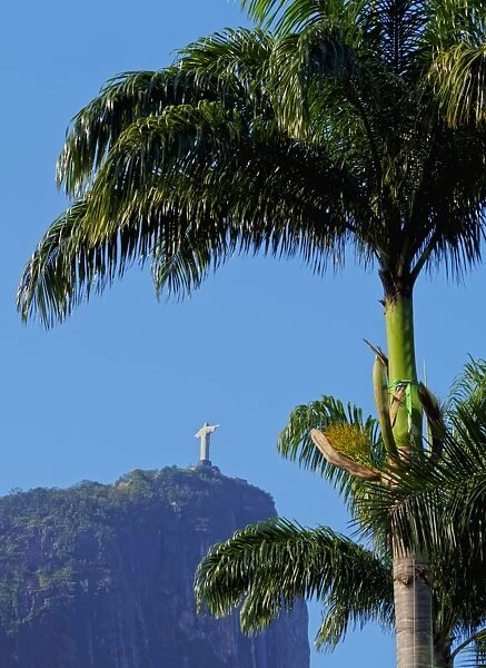 Corcovado and Christ statue viewed through the palm trees of the Botanical Garden