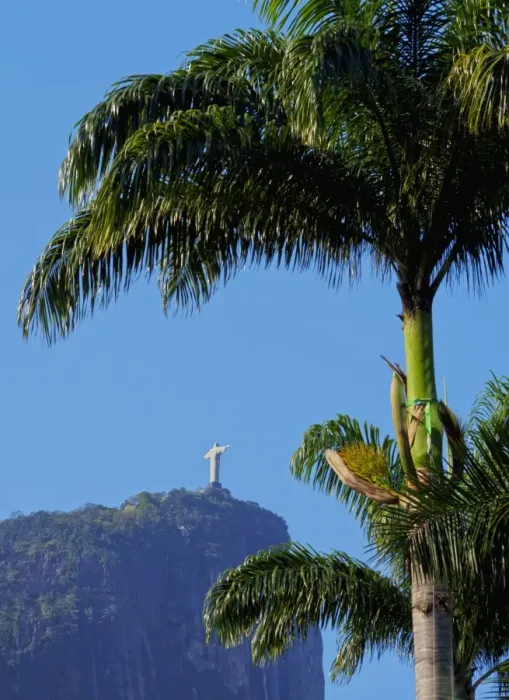 Framed Print : Corcovado and Christ statue viewed through the palm trees of the Botanical Garden Framed Print : Corcovado and Christ statue viewed through the palm trees of the Botanical Garden