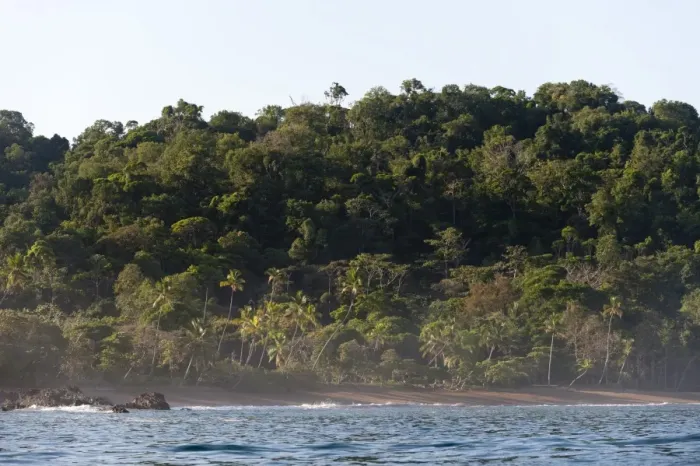 Framed Print : Corcovado National Park, Osa Peninsula, Costa Rica, Central America