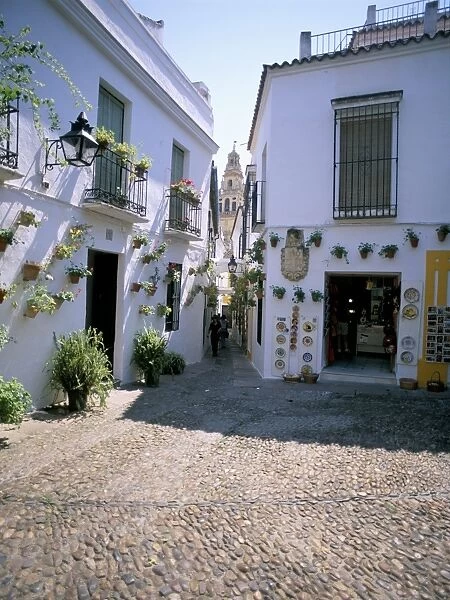 Cordoba, Andalucia (Andalusia)