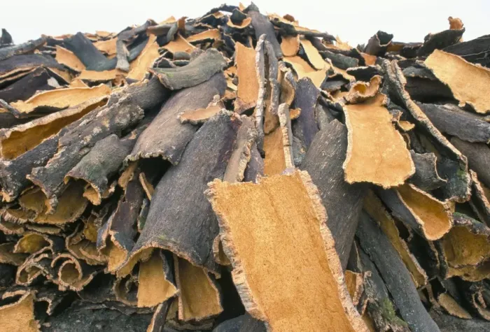 Framed Print : Cork bark for bottle corks stacked to dry near Tempio Pausania Framed Print : Cork bark for bottle corks stacked to dry near Tempio Pausania