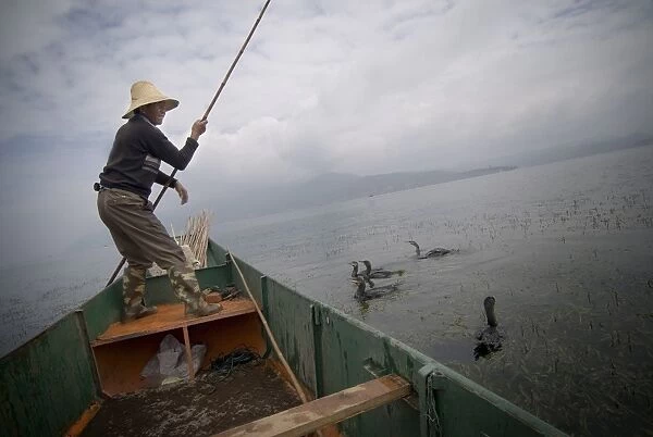 Cormorant fisherman with his birds, Erhai Lake, Dali, Yunnan, China, Asia