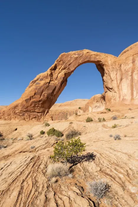 Framed Print : Corona Arch and Bootlegger Canyon, Moab, Utah, United States of America, North America Framed Print : Corona Arch and Bootlegger Canyon, Moab, Utah, United States of America, North America