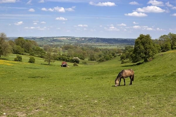 Cotswold landscape, Stow-on-the-Wold, Gloucestershire, England, United Kingdom, Europe