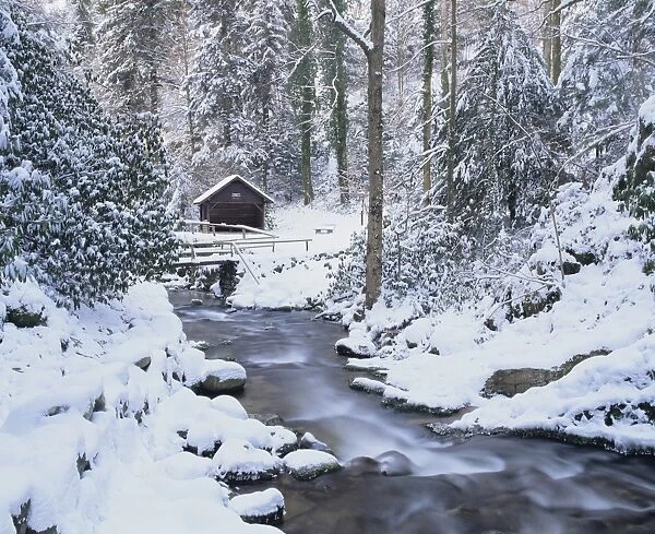 Cottage in a forest in winter, near Geroldsau Waterfall, Black Forest, Baden Wurttemberg, Germany, Europe