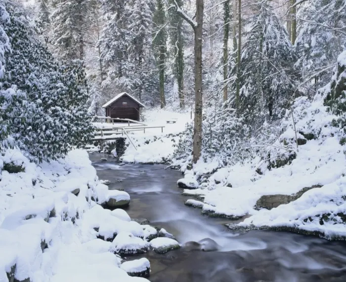 Framed Print : Cottage in a forest in winter, near Geroldsau Waterfall, Black Forest, Baden Wurttemberg, Germany, Europe Framed Print : Cottage in a forest in winter, near Geroldsau Waterfall, Black Forest, Baden Wurttemberg, Germany, Europe