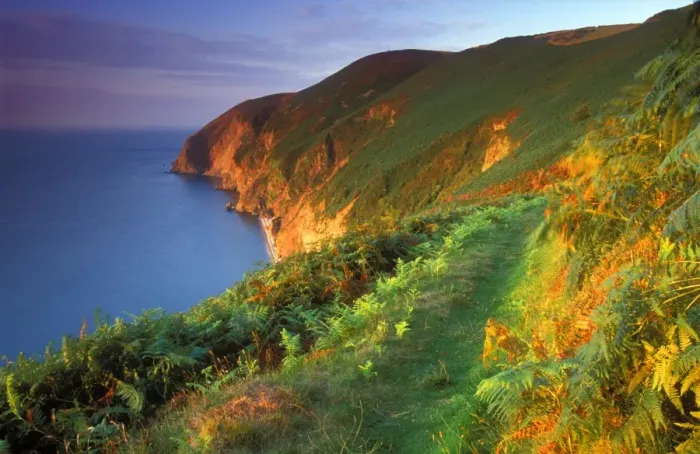 Framed Print : Countisbury Hill, Exmoor National Park, Devon, England, United Kingdom, Europe Framed Print : Countisbury Hill, Exmoor National Park, Devon, England, United Kingdom, Europe