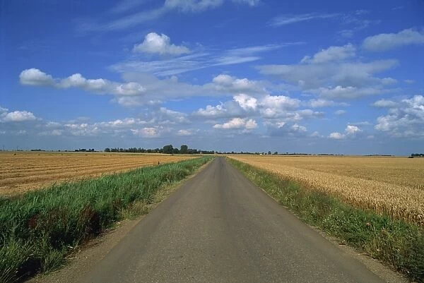 Country road through fields in Fenland near Peterborough, Cambridgeshire