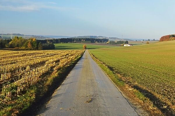 Country road, near Villingen-Schwenningen, Black Forest, Schwarzwald-Baar, Baden-Wurttemberg, Germany, Europe
