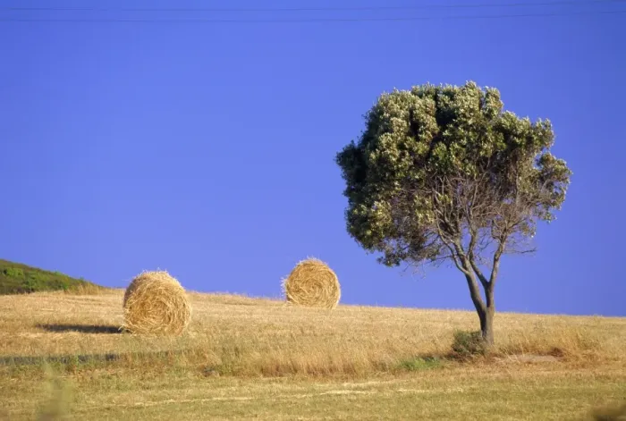 Framed Print : Countryside Framed Print : Countryside