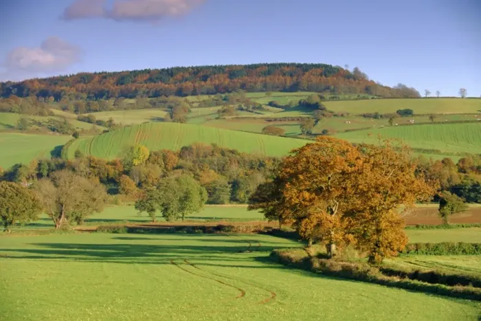 Framed Print : Countryside in autumn in the Otter Valley, Devon, England, UK Framed Print : Countryside in autumn in the Otter Valley, Devon, England, UK