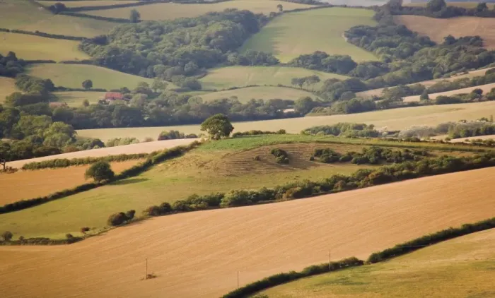 Framed Print : Countryside along coast path to Thornecombe Beacon, Eype Mouth, Jurassic Coast