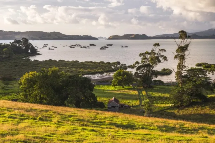 Framed Print : Countryside at Coromandel Town, Coromandel Peninsula, North Island, New Zealand, Pacific Framed Print : Countryside at Coromandel Town, Coromandel Peninsula, North Island, New Zealand, Pacific