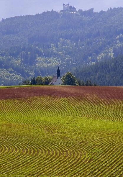 Countryside in the Gurktaler Alpen Range, Carinthia, Austria