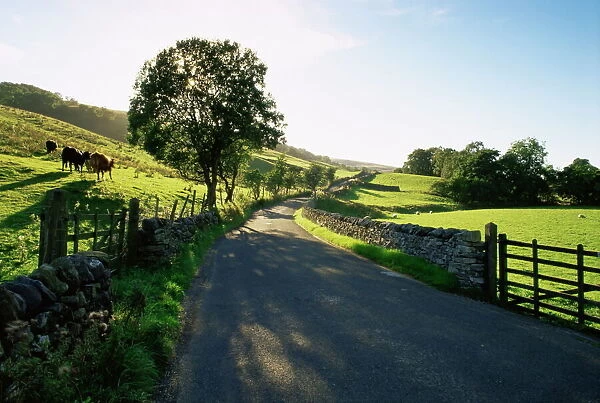 Countryside in Langstrothdale, Yorkshire Dales National Park, Yorkshire