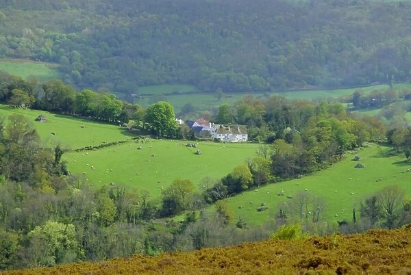 Countryside near Bovey Tracey, Devon, England, UK