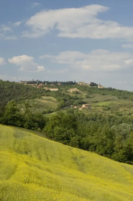 Framed Print : Countryside near Montepulciano Framed Print : Countryside near Montepulciano