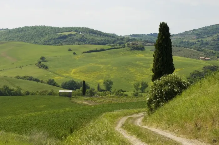 Framed Print : Countryside near Montepulciano Framed Print : Countryside near Montepulciano
