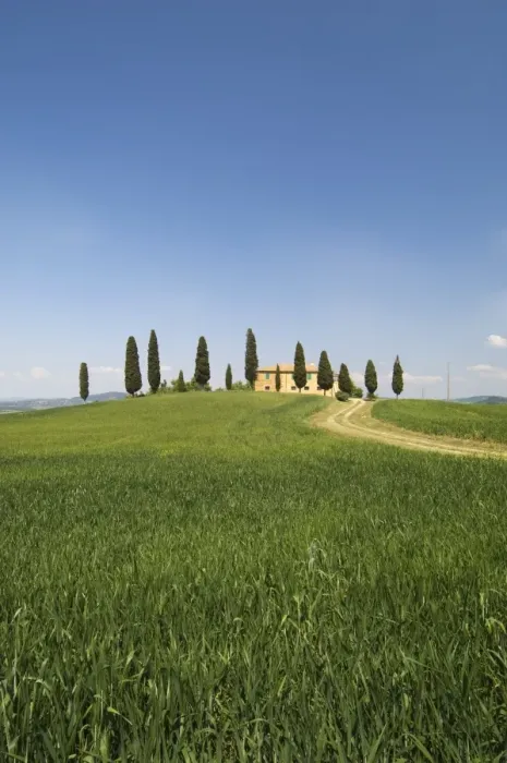 Framed Print : Countryside near Pienza Framed Print : Countryside near Pienza