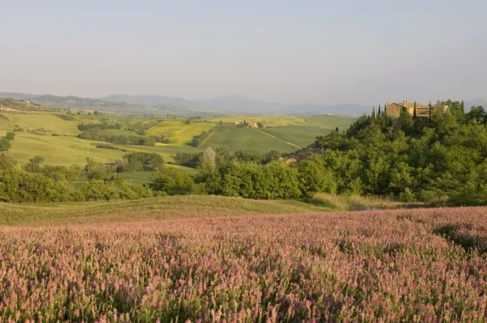 Framed Print : Countryside near Pienza Framed Print : Countryside near Pienza