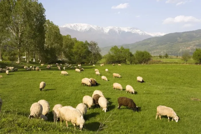 Framed Print : Countryside near Rila Mountains, Bulgaria, Europe Framed Print : Countryside near Rila Mountains, Bulgaria, Europe