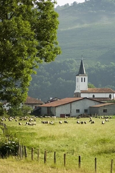 Countryside near Saint Jean Pied de Port (St. -Jean-Pied-de-Port), Basque country