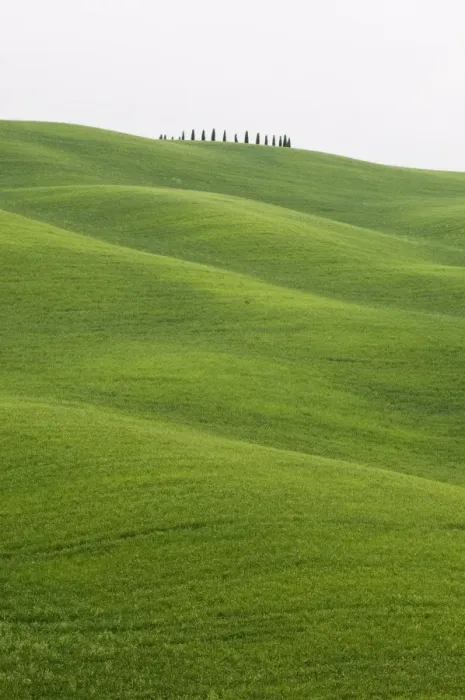 Framed Print : Countryside near San Quirico d Orcia Framed Print : Countryside near San Quirico d Orcia
