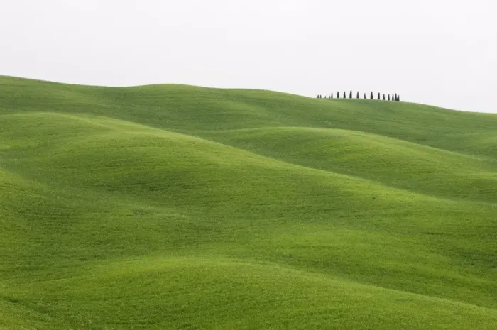 Framed Print : Countryside near San Quirico d Orcia Framed Print : Countryside near San Quirico d Orcia