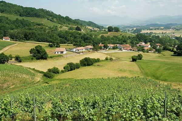 Countryside near St. Jean Pied de Port, Basque country, Pyrenees-Atlantiques