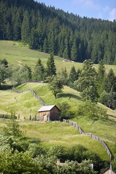 Countryside near Suceava, Bucovina, Romania, Europe