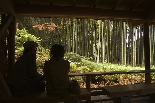 Couple looking out to bamboo forest from tea ceremony room