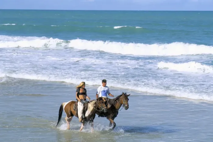 Framed Print : Couple riding horses on the beach, Tibau do Sul, Natal, Rio Grande do Norte state Framed Print : Couple riding horses on the beach, Tibau do Sul, Natal, Rio Grande do Norte state