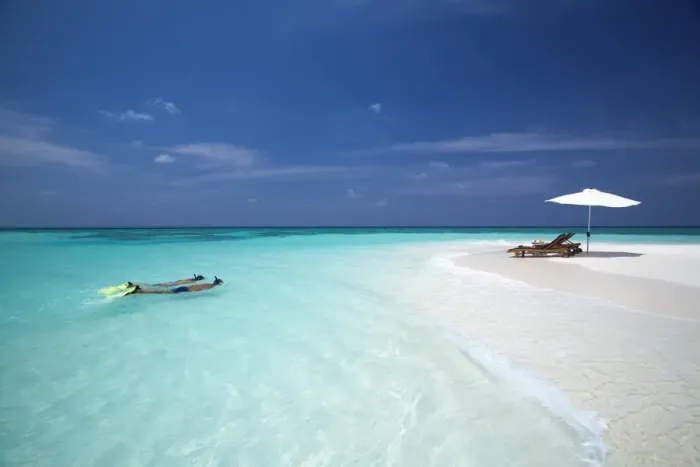 Framed Print : Couple snorkelling in Maldives, Indian Ocean, Asia Framed Print : Couple snorkelling in Maldives, Indian Ocean, Asia