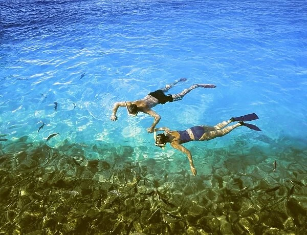 Couple snorkelling, Maldives, Indian Ocean, Asia