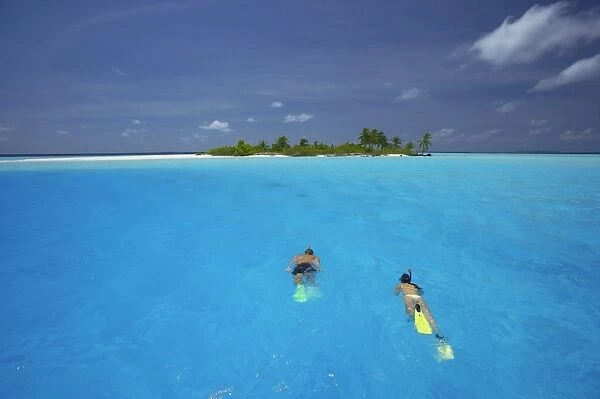 Couple snorkelling in the Maldives, Indian Ocean, Asia